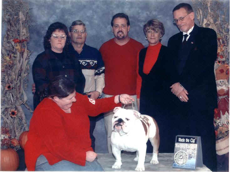 images for champion english bulldogs